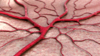 How To Find Blood Donors With Big Data